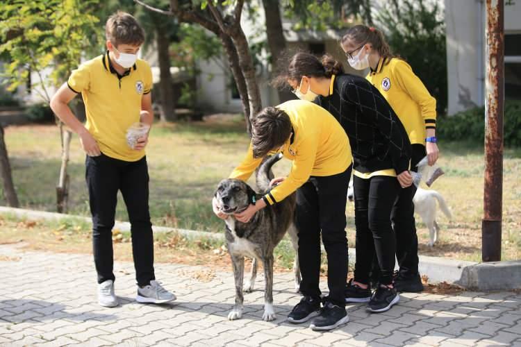 <p>Ben eve götürdüm zor durumda olduğu için, annemler kabul etmedi, o yüzden ben de öğretmenime getirdim. Ağladığı için duygulandım işte." diye konuştu.</p>