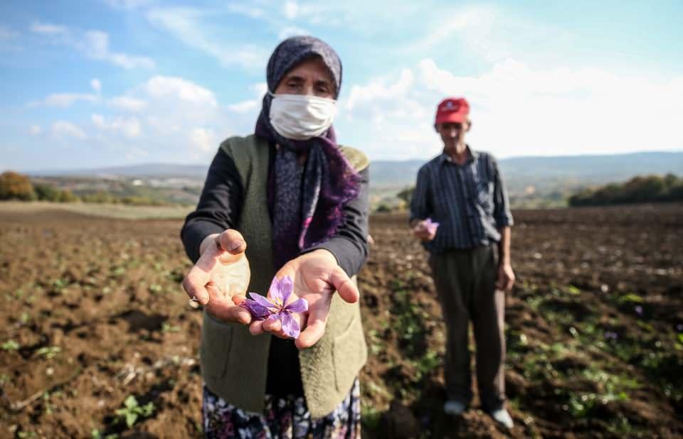 <p>3. yılın sonunda toplam 1,3 milyon lira gelir elde edeceğiz. Yılda dekar başına 100 bin liranın üzerinde gelir elde etmeyi hedefliyoruz. Yenişehir ve İnegöl şartlarında bu çok iyi bir rakam. İnşallah böylece ilimize yeni bir ürünü katmış oluyoruz."</p>
