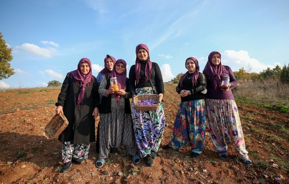 <p>Safranla ilgili araştırmalar yaptığını belirten Tarım, "Yenişehir'in safran konusunda öncü merkezler arasında yer alması için çalışıyoruz. 2 dönümlük bir alanda ekim gerçekleştirmiştik. Şimdi hasadına başladık, getirisi yüksek bir ürün." diye konuştu.</p>

<p> </p>
