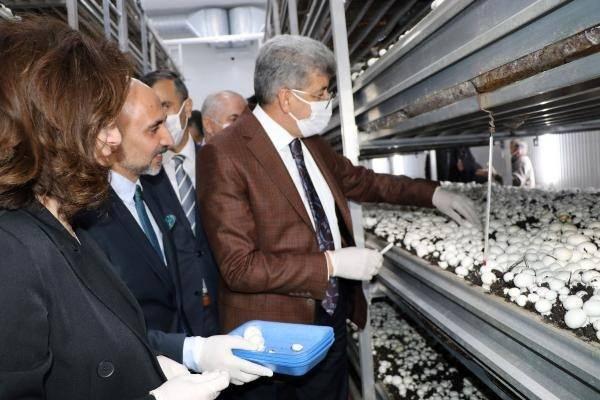 <p>Tuşba ilçesinin Atmaca Mahallesi'nde bir ay önce hizmete açılan kentin ilk modern mantar üretim tesisinde ilk hasat yapıldı. </p>
