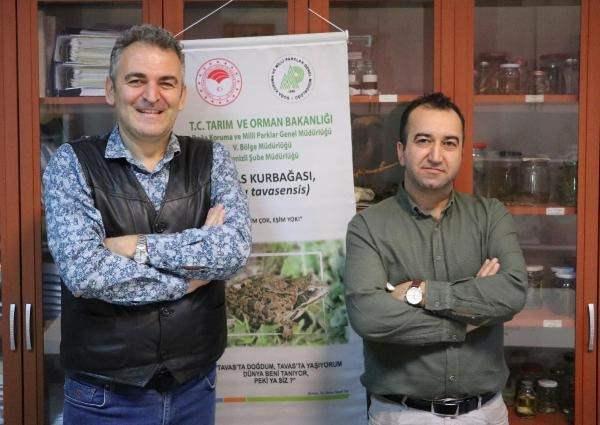 <p>PA&Uuml; Fen Edebiyat Fak&uuml;ltesi Biyoloji B&ouml;l&uuml;m&uuml; &Ouml;ğretim &Uuml;yelerinden Prof. Dr. Ey&uuml;p Başkale "Doğal ortamına bıraksaydık, bir aya kalmaz &ouml;lm&uuml;ş olacaktı. B&ouml;yle bir t&uuml;r&uuml;n doğada yaşaması &ccedil;ok zor. Biz de bu siyam ikizi kaplumbağaları laboratuvarımızda yaşatmaya &ccedil;alışacağız" dedi.</p>
