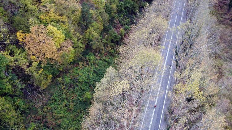 <p>Ülkenin "en büyük blok ormanları"na sahip Karabük'te, sonbaharda renk cümbüşü yaşanıyor. </p>

