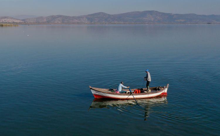 <p>Bafa'da yaşayan en gizemli türlerden biri de yılan balığı.</p>