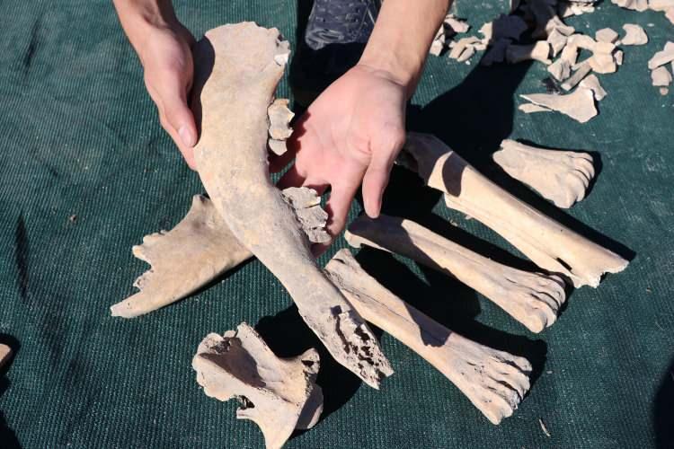 <p>Bu höyük, Adana'nın tarihini tekrar yazıyor"</p>
<p>Bu sezon Kalkolitik Çağ ile ilgili de bir açmada çalışma yapılacağını belirten Girginer, şunları kaydetti:</p>