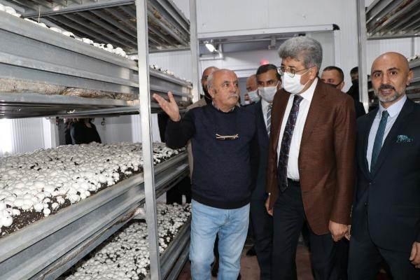<p>Hasada eşlik eden Van Valisi ve Büyükşehir Belediye Başkan Vekili Mehmet Emin Bilmez, kentin ilk modern mantar üretim tesisinin yıllık üretim kapasitesinin bin 500 ton olduğunu ve mantarların çevre illere pazarlanacağını söyledi.</p>
