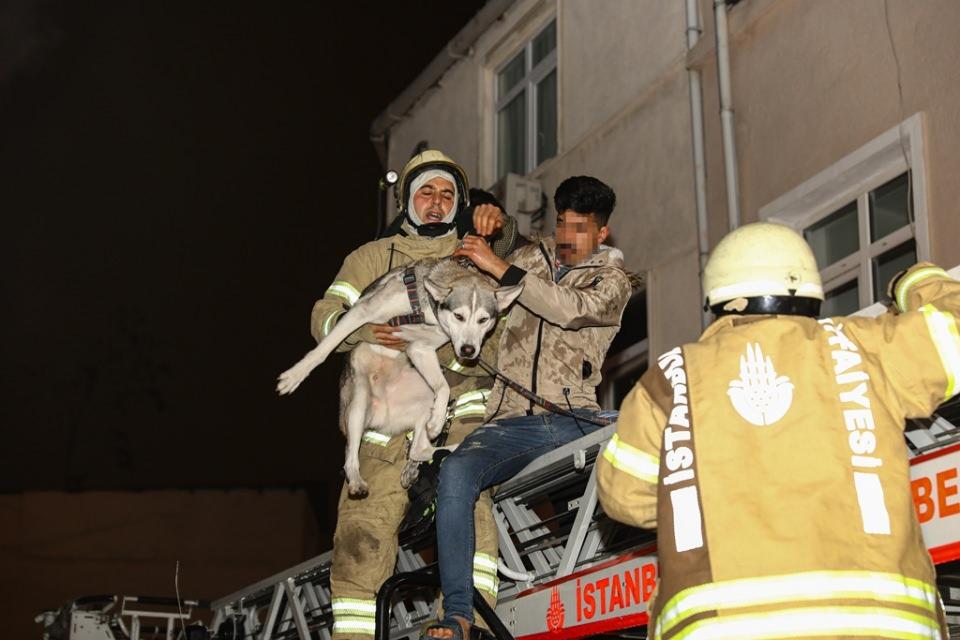 <p>Yangını görenlerin ihbarı üzerine olay yerine Fatih itfaiye ekibi sevk edildi. Dairede bulunan 3 kişi ve bir köpek mahsur kaldı. İtfaiye ekipleri sepetli merdiven uzatarak mahsur kalanları kurtardı.</p>
