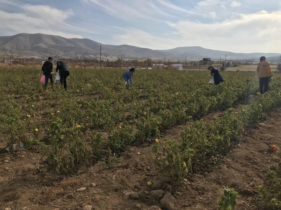 <p>Elazığ’da her kesimden vatandaşın tarlaya gelip ücretsiz bir şekilde ürün alabildiğini dile getiren vatandaşlardan Alaattin Eken ise, böyle bir hayra vesile olan çiftçiye teşekkür ederek memnuniyetini dile getirdi.</p>

<p> </p>
