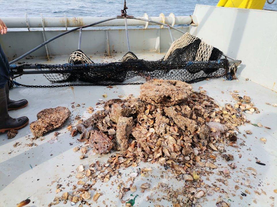 <p>Denizde en çok plastikle karşılaşmaktayız. Bu kirliliğin canlılar üzerinde de etkileri var. Özellikle sel nedeniyle kıyı alanlarda suyun bulanık olması o bölgedeki canlıların ister istemez açığa gitmesine yol açıyor. İlk seferde karşılaştığımız bazı türleri son seferimiz de görmedik.</p>
