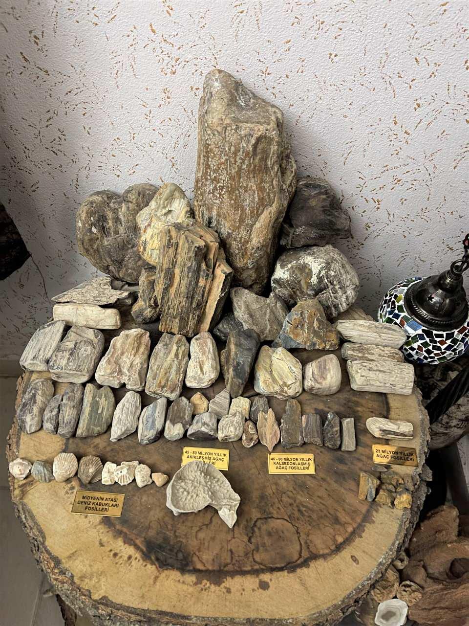<p>Keşfedilmeyen taşları bulduğum zaman mutlu oluyorum. İnşallah daha değişik taşlar da bulmaya devam edeceğim" dedi.</p>
