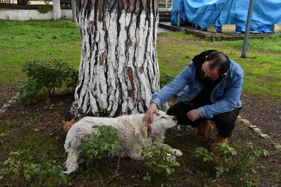 <p>Köpeğin, sokaktaki kedilere adeta annelik yaptığını dile getiren Genç, golden cinsi köpeğin kedilerle kurduğu dostluğu görenlerin cep telefonu ile fotoğraf çektiğini belirtti.</p>

<p> </p>
