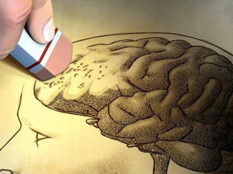 <p>Kyoto Üniversitesi’nde deney hayvanları üzerinde yapılan bir çalışma, hafızanın silinebileceğini ortaya koydu.</p>

<p> </p>

<p> </p>

<p>Henüz deney aşamasında olan çalışmada ilk defa yakın dönem belleğini silebilmek üzere bir kimyasal kullandı.</p>

<p> </p>

<p> </p>
