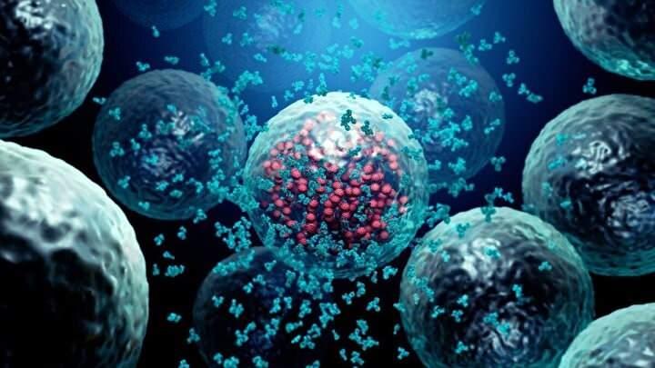 <p><strong>T HÜCRE TEPKİSİ DAHA DAYANIKLI</strong><br />
<br />
İnsanları hastalığa karşı daha fazla korumanın bir yolu olarak T-hücreleri, aşı üreticileri ve klinisyenlerin gittikçe ilgisini çekmeye devam ediyor.</p>
