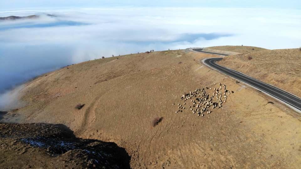 <p>Yolculuğumuz ovaya inene kadar bir gün sürüyor. Zorlu bir yolculuk oluyor. Bundan sonra kar yağıncaya kadar hayvanlarımızı ovada besleyeceğiz” dedi.</p>
