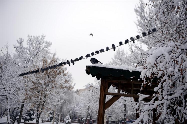 <p>ARDAHAN</p>
