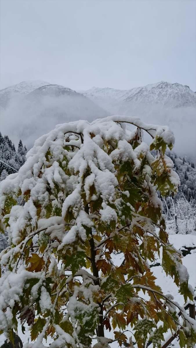 <p>RİZE</p>
