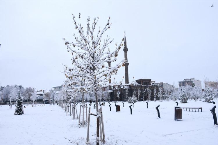 <p>KARS</p>
