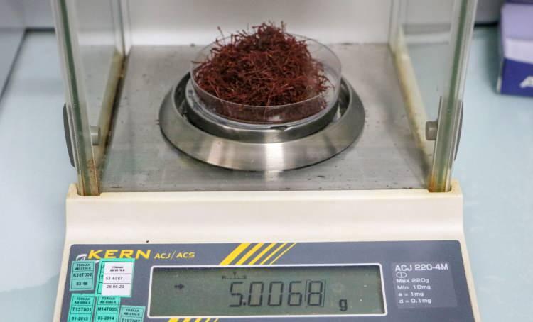 Kilosu 50 bin lirayı bulan safranı, at kılıyla taklit ediyorlar
