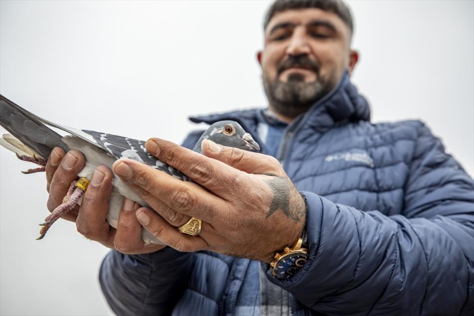 <p>Gökyüzünde takla atarak görsel güzellik sunan güvercinlere sahipleri de ıslık çalarak yön verdi.</p>

<p> </p>
