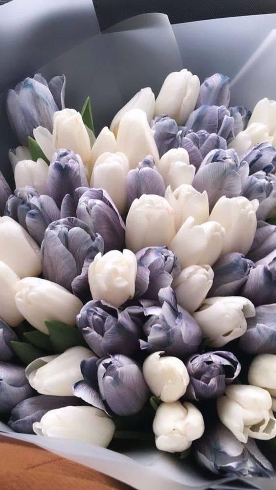 <p><span style="color:#800080"><strong>Bazen daha iyi hissetmek için birazcık zamana ihtiyacımız olur. Sen o tüm zamanı aldın gibi o yüzden hasta yatağından kalk ve hızlıca aramıza dön.</strong></span></p>
