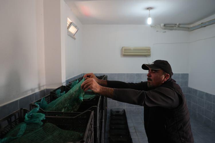 <p>Bir de tulumun delinirse çok sıkıntı. Geçenlerde bir arkadaşımız tulumunu patlattı, hastalandı. Ayrıca çeltik tarlalarına atılan ilaçlar kurbağa neslini tüketiyor. İlaç kutuları da kanallara gelişigüzel atılıyor." diye konuştu.</p>