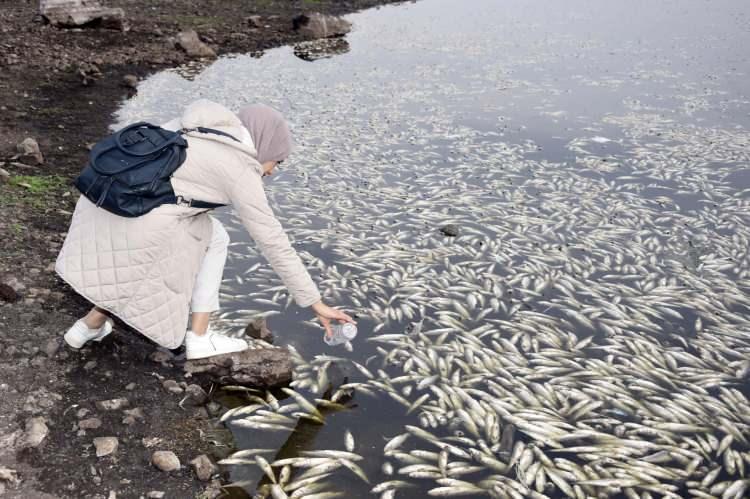 <p>Bölgede tedirginliğe yol açan balık ölümlerinin, göldeki suyun azalmasıyla oluşan oksijen yetersizliğinden kaynaklandığı tahmin edilirken, kesin sonucun, inceleme sonrası belli olacağı belirtildi. </p>
