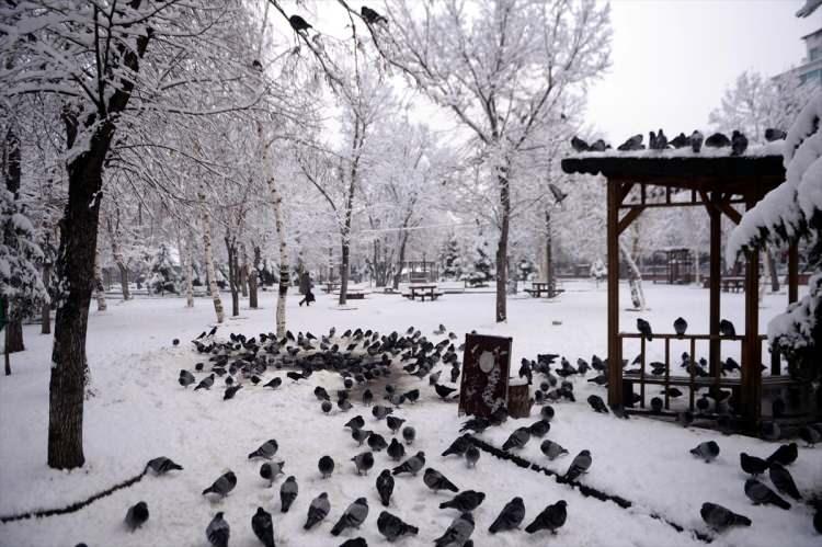 <p>ARDAHAN</p>
