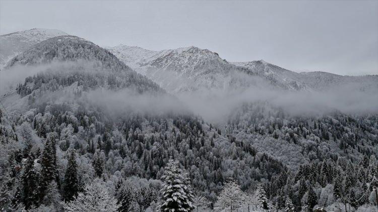 <p>RİZE</p>
