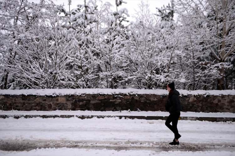 <p>ARDAHAN</p>
