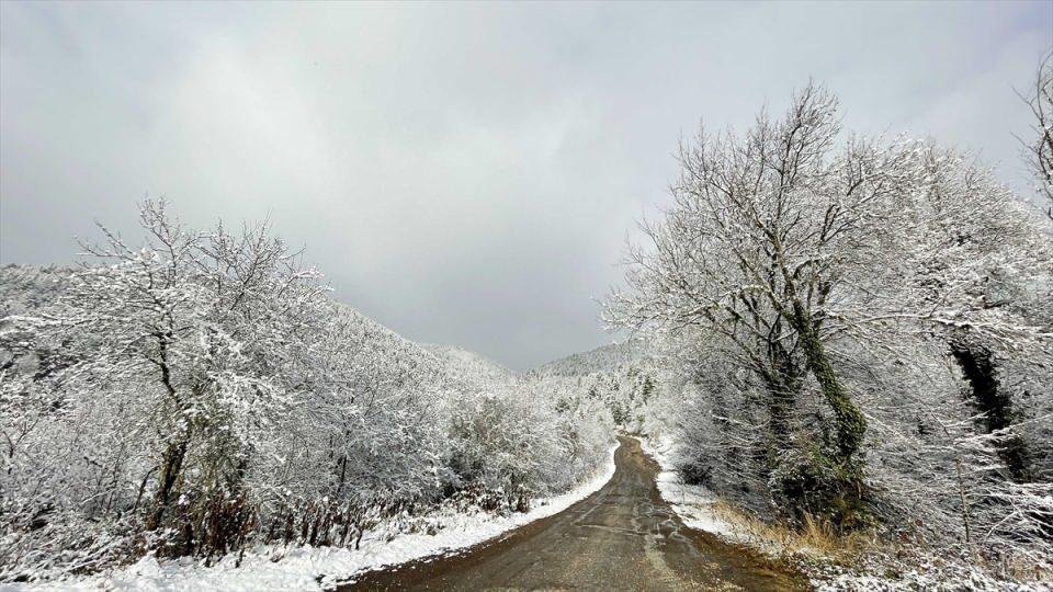 <p>DÜZCE</p>
