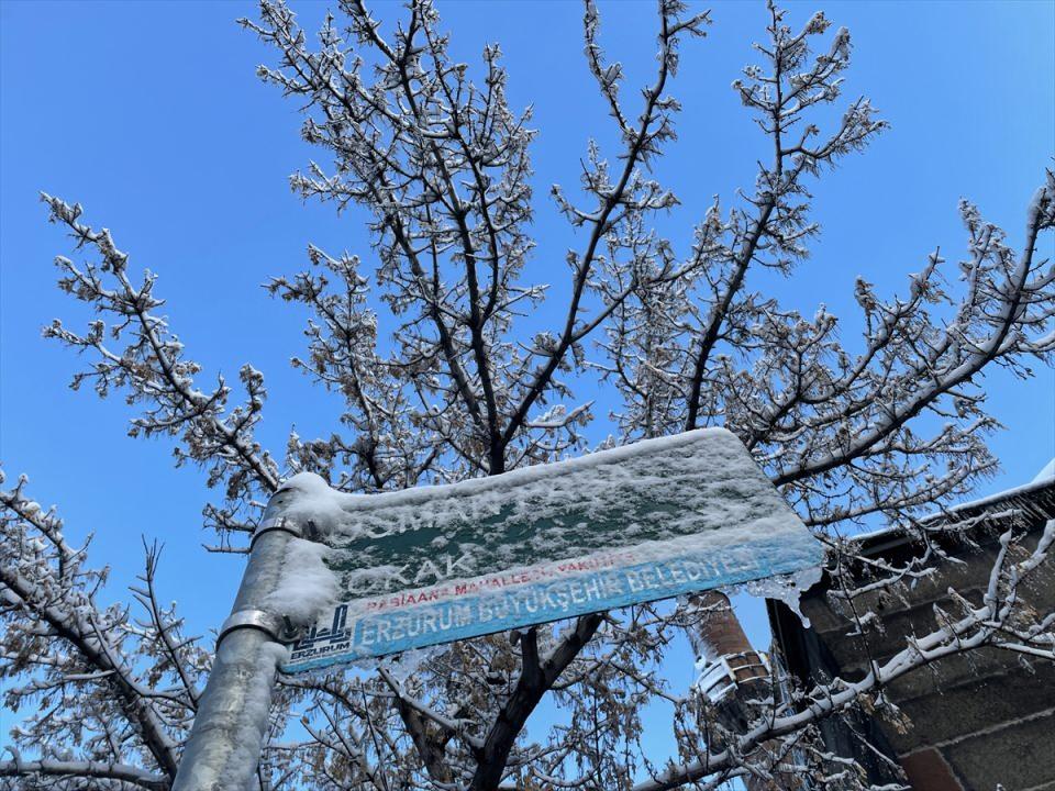 <p>ERZURUM</p>
