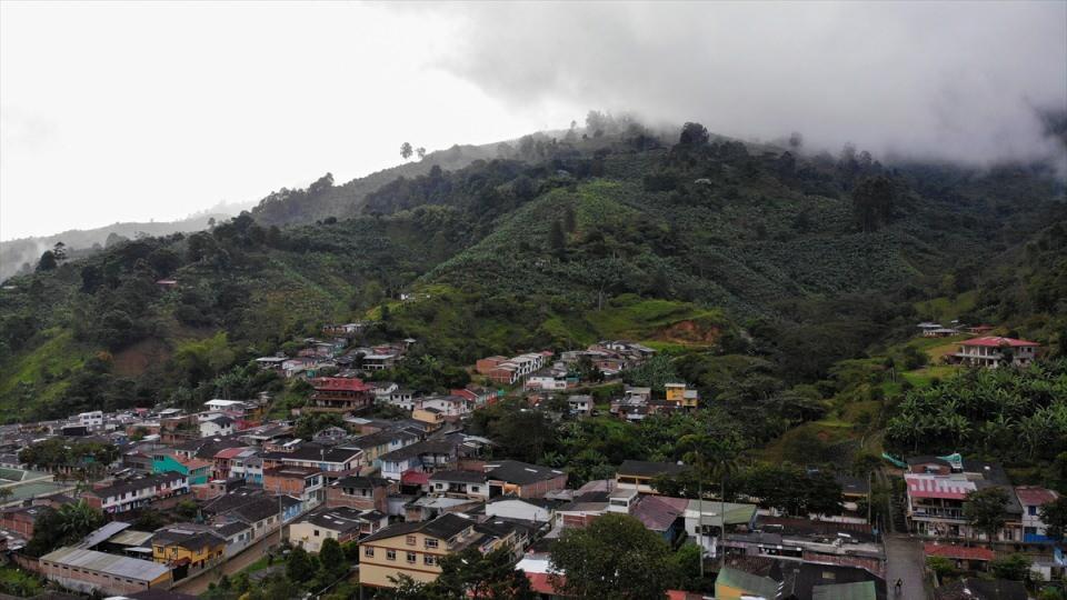 <p>Kolombiya'nın Quindio eyaletinin güneydoğu kesiminde yer alan Pijao'da Hass avokado yetiştiriliyor.</p>

<p> </p>
