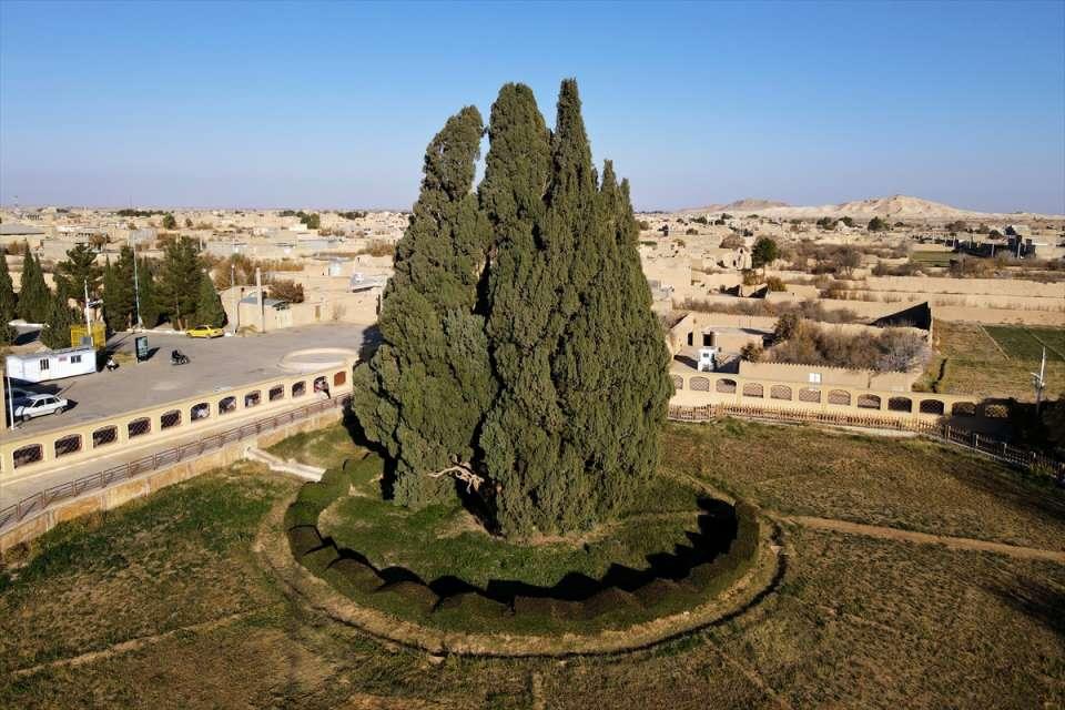 <p>İranlı yetkililer Yezd eyaletinde bulunan, onlarca asırlık geçmişiyle doğal anıt niteliğindeki servi ağacının, UNESCO Dünya Mirası Listesi'nde yer almasını istiyor.</p>

<p> </p>
