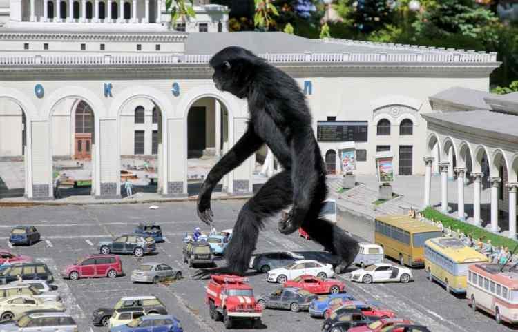<p>24 Mayıs’ta, Bahçesaray, Kırım'daki bir hayvanat bahçesindeki minyatür parkında araç modelleri arasında bir gibon maymunu yürüyor.</p> <p> </p> 