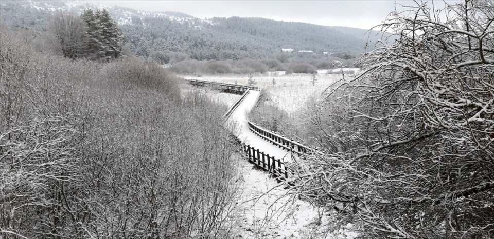 <p>BOLU</p>

