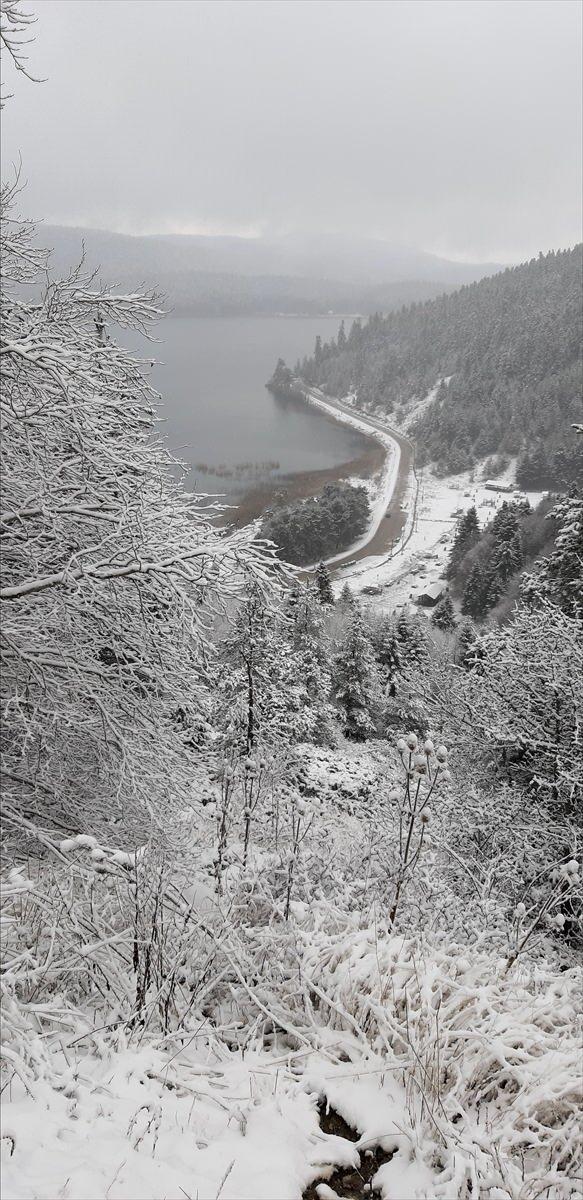 <p>BOLU</p>
