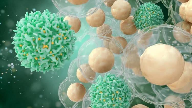 <p>Altman, koronavirüsle enfekte hücreleri tanıyan ve onlara saldıran, antikor üreten B hücrelerini karşı karşıya oldukları viral risk konusunda eğiten bağışıklık hücreleri olan T hücreleri hakkında şunları söyledi:</p>

<p> </p>
