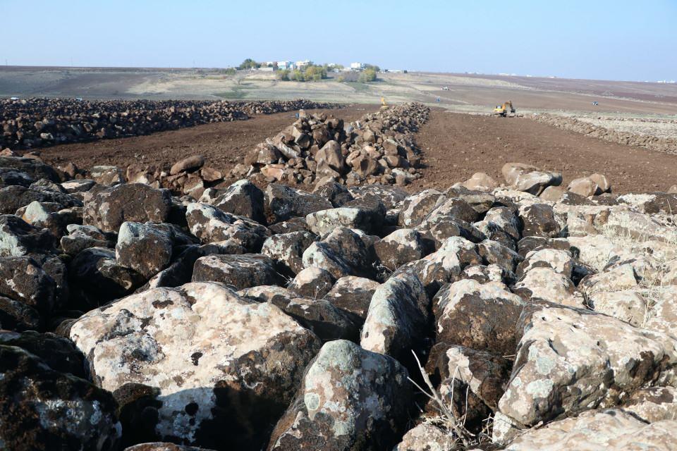 <p>Diyarbakır, Mardin, Şanlıurfa üçgeninde bulunan sönmüş volkanik Karacadağ bölgesinde bulunan taşlar, hak sahiplerinin de izniyle ücretsiz olarak kaldırılıp tesislerde işlenerek yol çalışmalarında kullanılıyor.</p>
