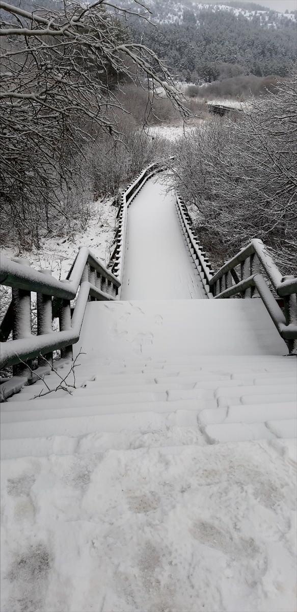 <p>BOLU</p>
