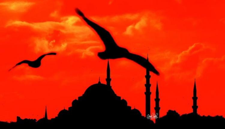 <p>Şahin, tarihe olan merakından dolayı kubbeleri fotoğrafl amayı çok istediğini, Fatih Camii’yle başlayan yolculuğunun bugünlere geldiğini ifade etti.</p>
