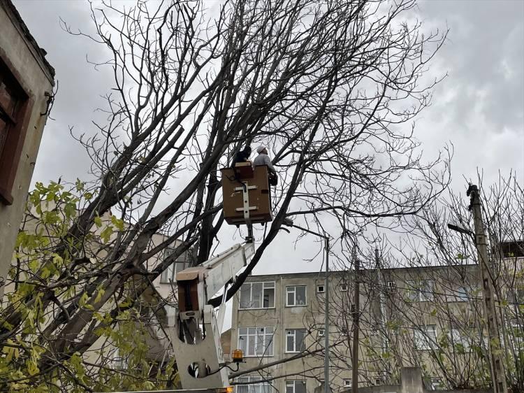 <p>Yola devrilen ağaçlar Süleymanpaşa Belediyesi ekiplerinin çalışması sonucu kaldırıldı.</p>

<p> </p>
