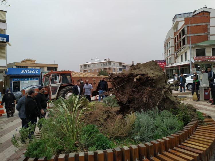 <p>Bursa'nın Kestel ilçesi Cuma Caddesi'nde 270 yıllık olduğu bilinen çınar ağacı kuvvetli lodos sebebiyle devrildi.</p>
<p></p>