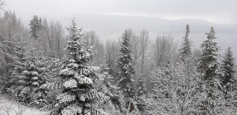 <p>BOLU</p>
