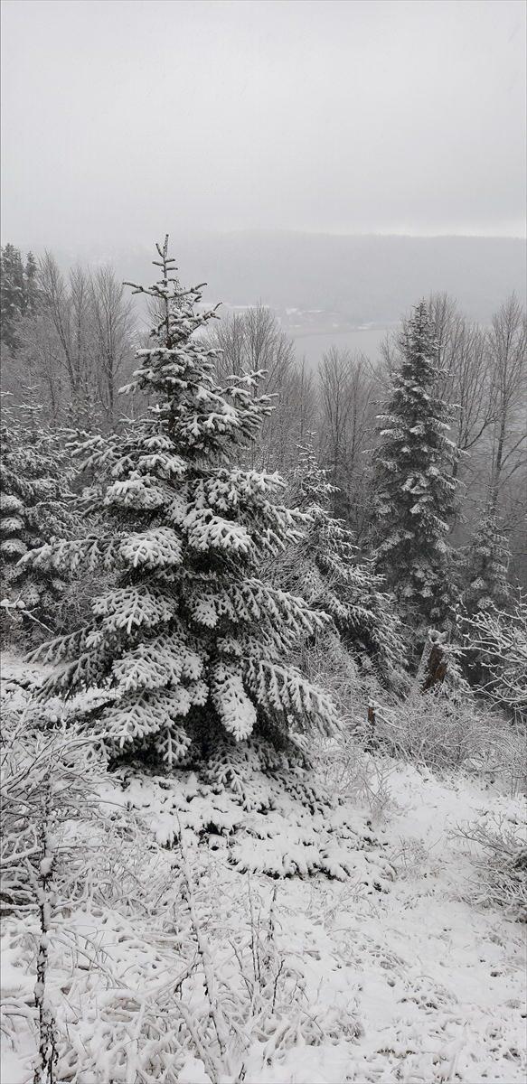 <p>BOLU</p>
