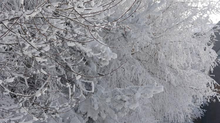 <p>Meteoroloji yetkilileri, soğuk havanın etkisini sürdürmesinin beklendiğini bildirdiler.</p>
<p> </p>