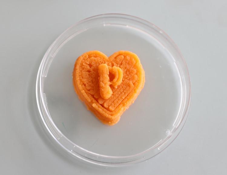 <p class="MsoNormal">Candoğan, projeye 2019 yılında başladıklarını, 2 yıl süren çalışmaya Kovid-19 salgınına rağmen ara vermediklerini ifade etti.<o:p></o:p></p>
