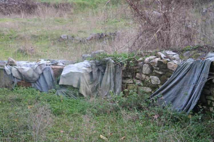 <p>“14 yıldır ne zaman kazmaya gelecekler diye bekliyorum”<br />
Zeugma’ya benzer alanda üzeri kum ve brandalar ile örtülen mozaikler ile ilgili her yere müracaatta bulunduğunu anlatan Nizamettin Oral, “14 yıldır bekliyorum” diye konuştu.</p>