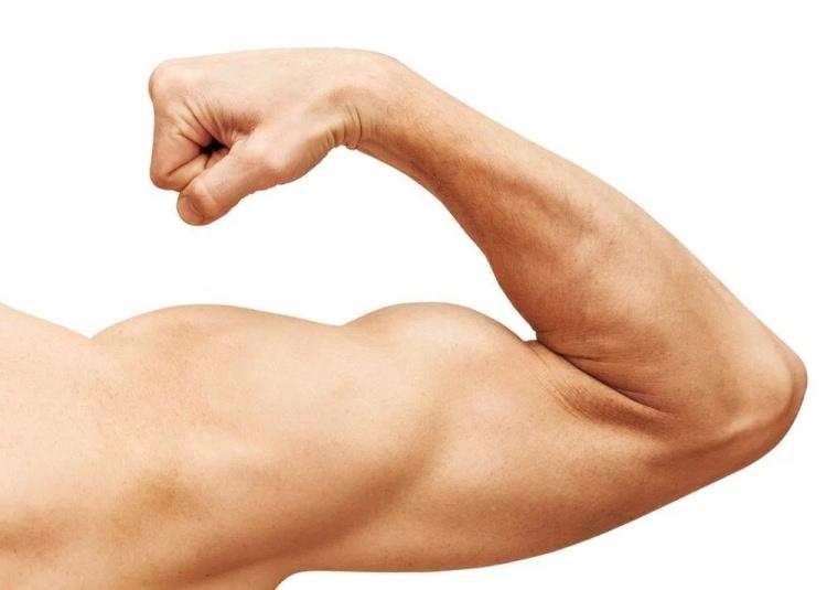 <p>Vücuttaki bir tür kas lifinin yüzde 62, diğerinin yüzde 32 oranında şiştiğini tespit eden bilim insanları, bazı kas gruplarının ise küçüldüğünü bildirdi.</p>
<p>Dr. Mostein, "Tip I lifleri yüzde 11, tip 2 lifleri ise yüzde 17 küçüldü" ifadelerini kullandı.</p>