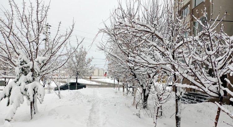 <p><strong>Bitlis'te, 50 köy yolu kardan kapandı</strong><br />
<br />
Bitlis'te, 2 gündür belirli aralıklarla yağan kar nedeniyle 50 köy yolu ulaşıma kapandı. Kapanan yolların açılması için İl Özel İdaresi 50 makine ve 75 personelle karla mücadele çalışması başlattı. </p>

<p> </p>

<p> </p>
