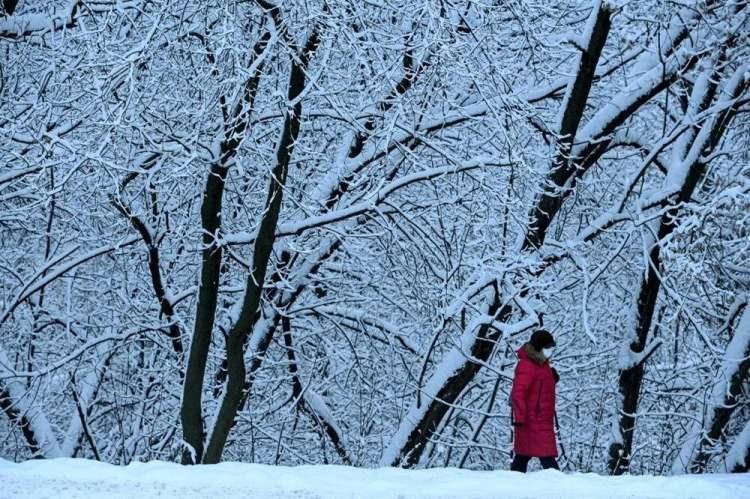 <p>Tishkovets’in bildirdiğine göre, 11 milimetre ile  en yoğun kar yağışı Moskova'nın merkezinde meydana gelirken, şehrin kuzeybatısında 10 milimetrelik kar tespit edildi.</p>

<p><br />
 </p>

