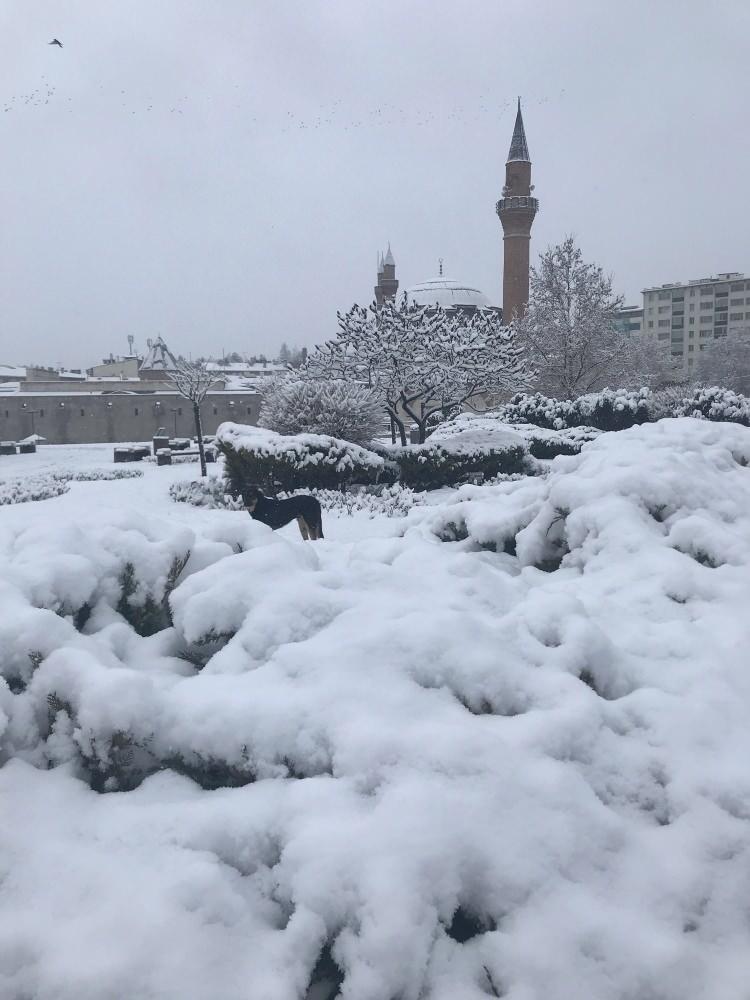 <p>SİVAS</p>
